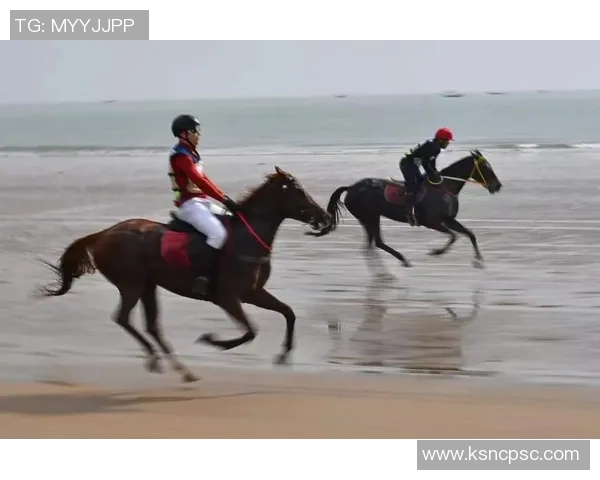 赛后分析：西安排球队与广州排球队耐力对决的精彩瞬间与启示