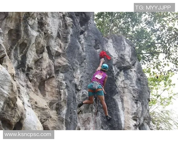 武汉攀岩队的节奏探秘：深度解析攀岩运动的魅力与挑战